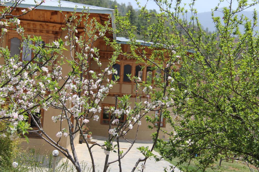 Rema Resort Paro Rum bild